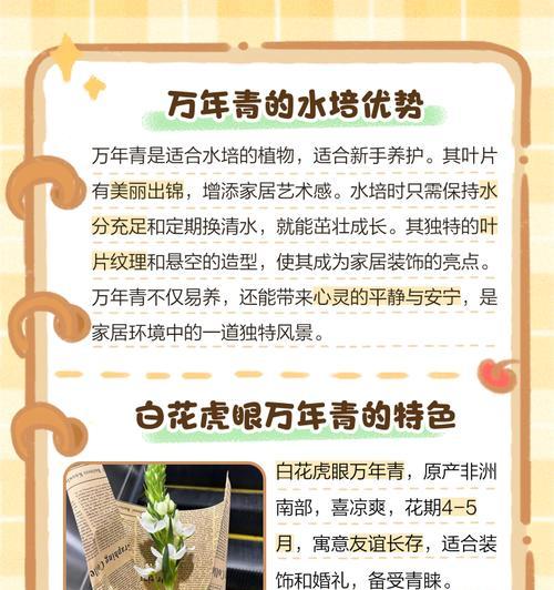万年青属于什么科？它的分类和特性有哪些？