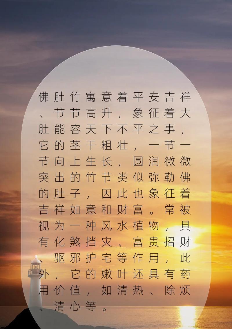 佛肚竹的养护技巧是什么？佛肚竹的生长环境要求有哪些？