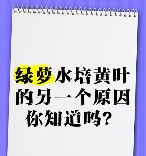 绿萝叶子发黄是什么原因？如何解决绿萝黄叶问题？