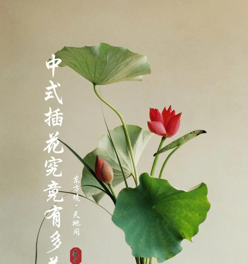 插花艺术的技巧是什么？如何提升插花的美感？