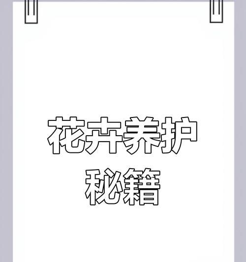 花卉养护的基本原则是什么？如何应对常见问题？
