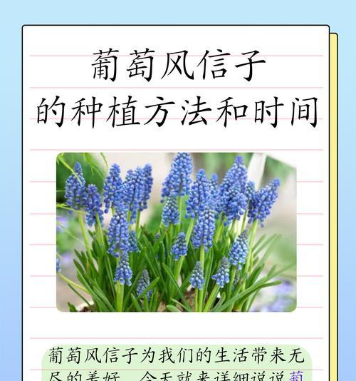 盆栽葡萄快速结果的秘诀是什么？