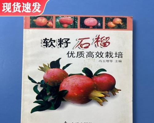 石榴籽的最佳种植时间是什么时候？种植石榴籽需要注意什么？