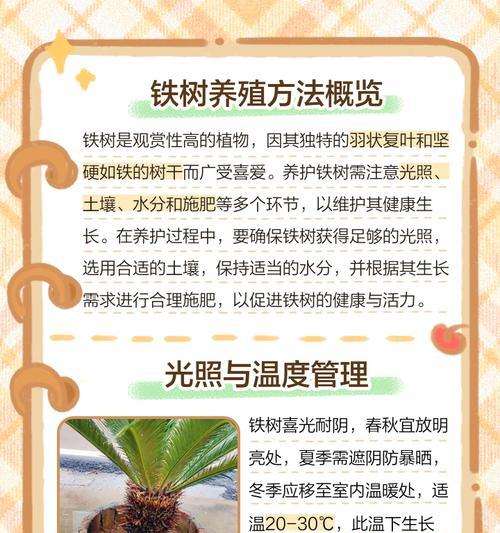 龙铁树繁殖方法有哪些？龙铁树繁殖的注意事项是什么？
