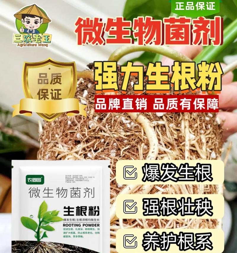 生根粉的正确使用方法是什么？使用后多久能看到效果？