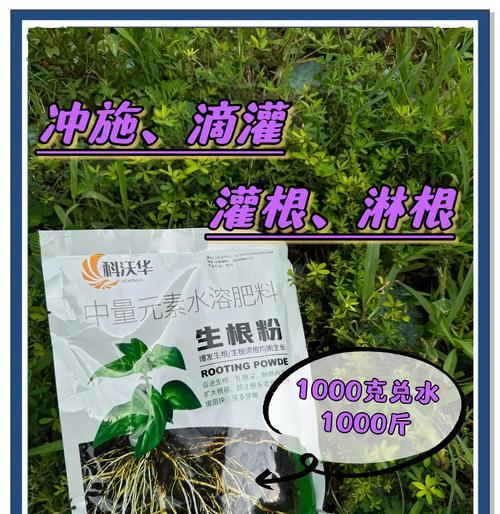 生根粉的正确使用方法是什么？使用后多久能看到效果？
