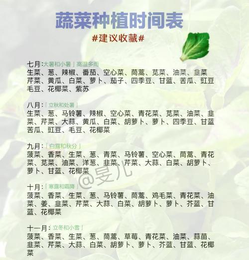 苋菜的最佳播种时间是什么时候？播种苋菜有哪些注意事项？