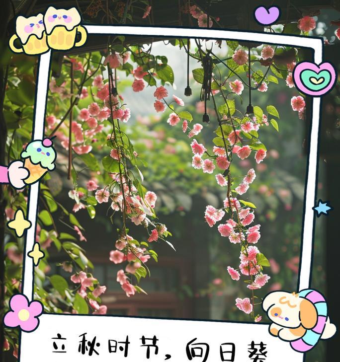 立秋时节有哪些花卉盛开？