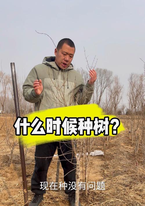 石榴树开花结果的时间是什么时候？如何促进开花结果？