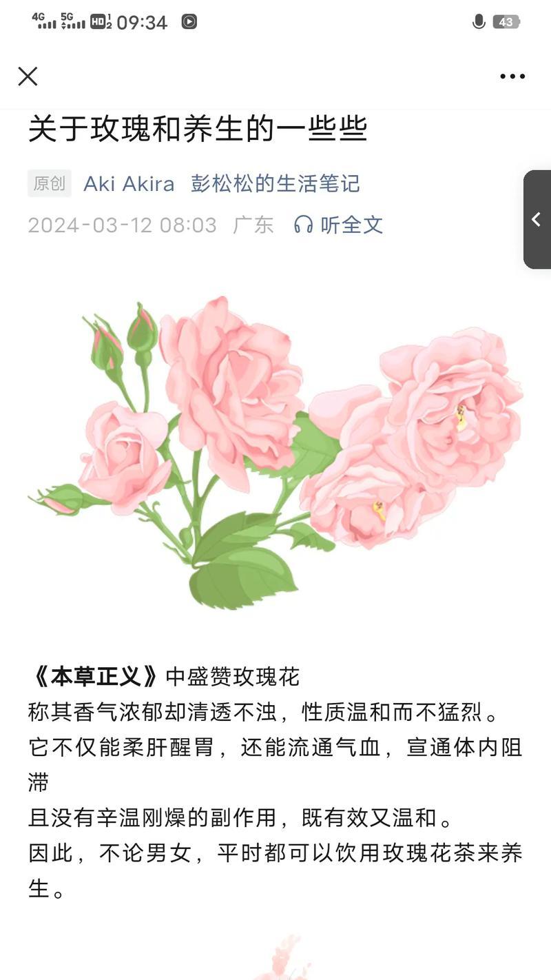 玖瑰花的开花时间是什么时候？如何促进其开花？