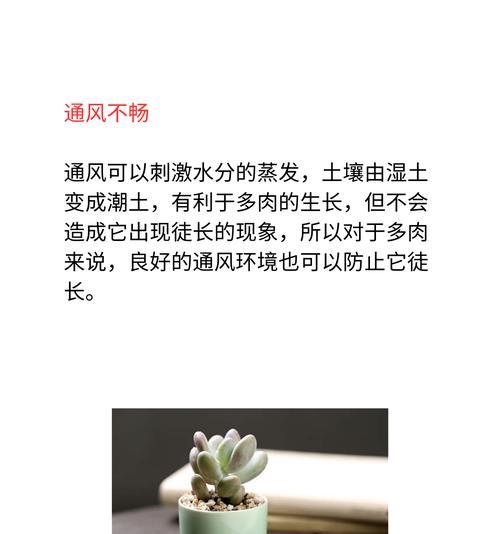 多肉植物徒长的原因是什么？如何有效防止多肉植物徒长？