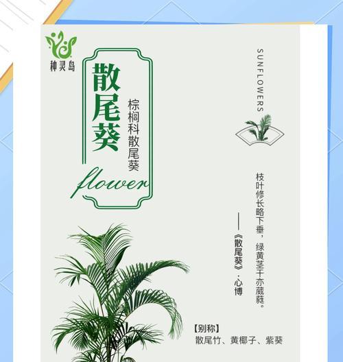 散尾葵烂根怎么办？如何进行根部的护理？