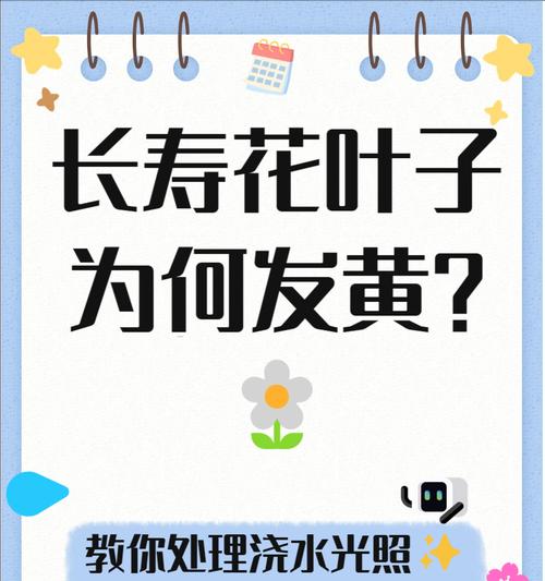 莲花叶子发黄的原因是什么？如何处理和预防？