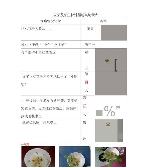 绿豆芽种植步骤是什么？怎样才能快速发芽？