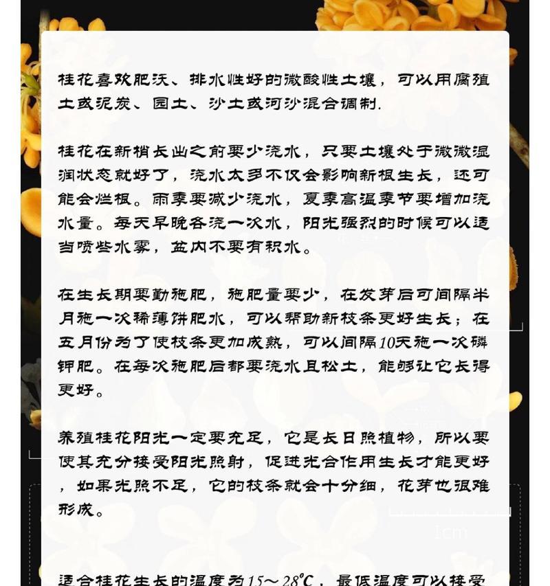 什么时候桂花开？桂花养护有哪些要点？