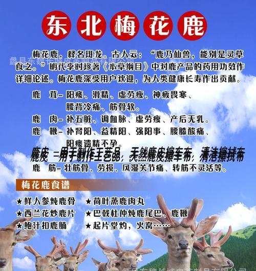 鹿娃娃的养护方法是什么？鹿娃娃的繁殖方法是什么？