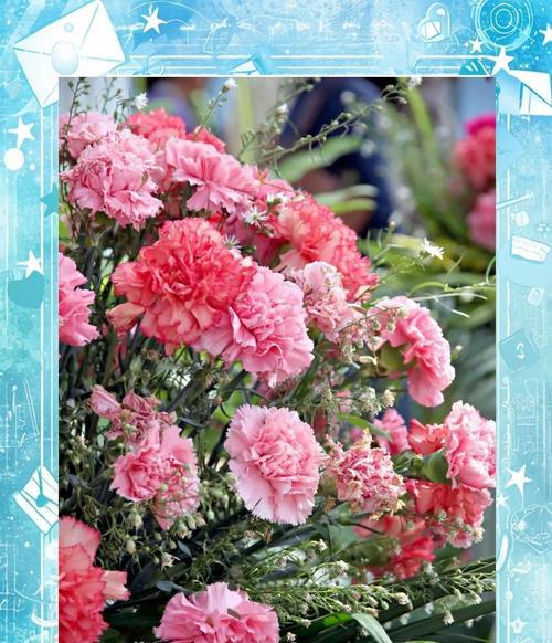 康乃馨如何养护以延长花期？有哪些小技巧？