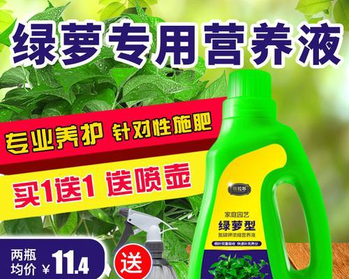 绿萝施肥的最佳肥料选择是什么？
