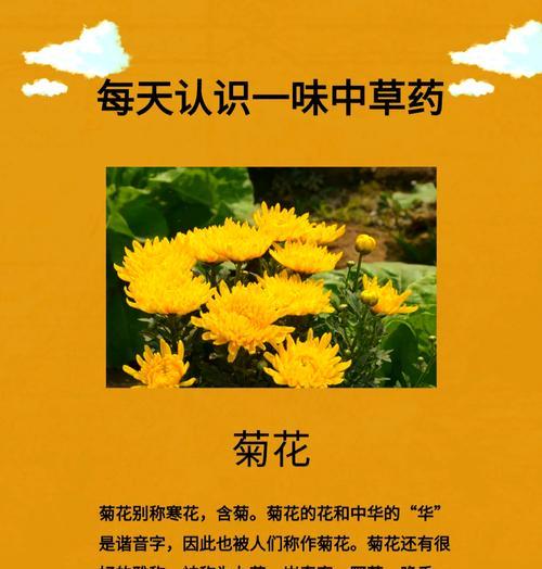 菊花施肥的最佳时间和肥料选择是什么？