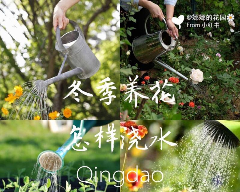 养花浇水的正确方法是什么？多久浇一次水合适？