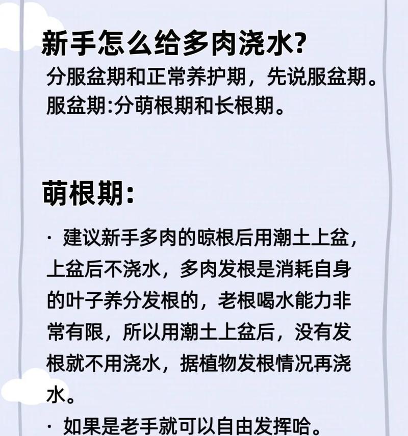 秀妍多肉的养护要点是什么？如何避免多肉植物徒长？