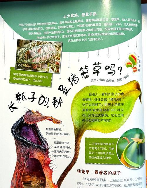 猪笼草的种植方法是什么？猪笼草种植过程中应注意什么？