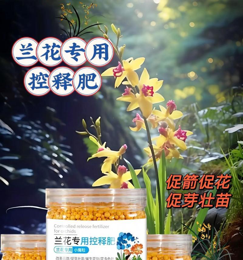 兰花施肥应该使用什么肥料？哪种肥料最适合兰花？