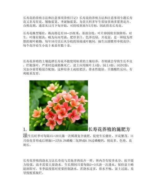 长寿花白粉病的治疗方法是什么？