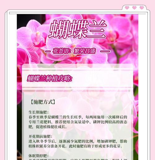 家庭养护蝴蝶兰的正确方法是什么？