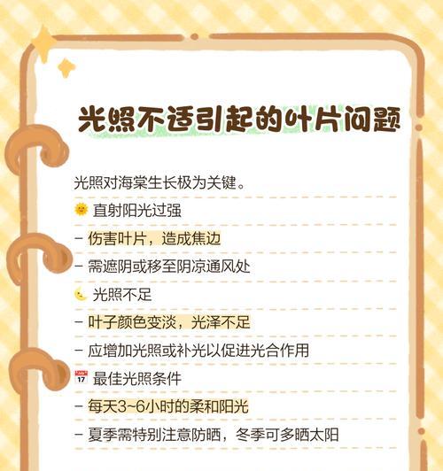 花叶子干枯怎么办？如何预防？