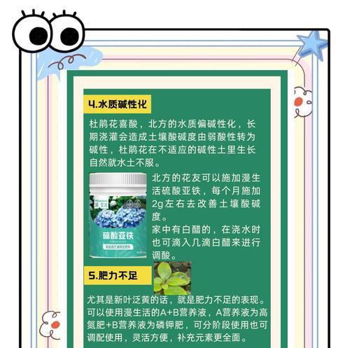 杜鹃花掉叶子的原因是什么？如何防止和处理？