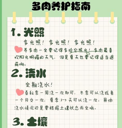 多肉植物的养护方法有哪些？新手如何养好多肉植物？