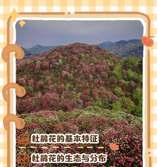 杜鹃花的特性是什么？如何根据特性进行养护？