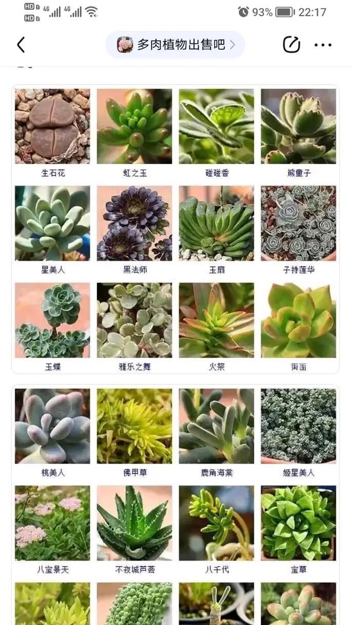 多肉植物叶片如何种植？种植多肉叶片有哪些注意事项？