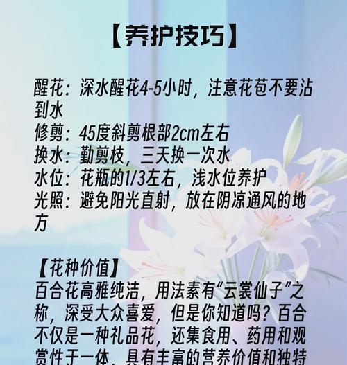百合花枯萎的原因是什么？如何挽救？