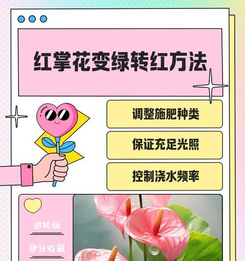 红掌花叶子变黄怎么办？如何恢复其鲜艳色彩？
