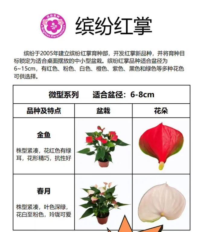 红掌花叶子变黄怎么办？如何恢复其鲜艳色彩？
