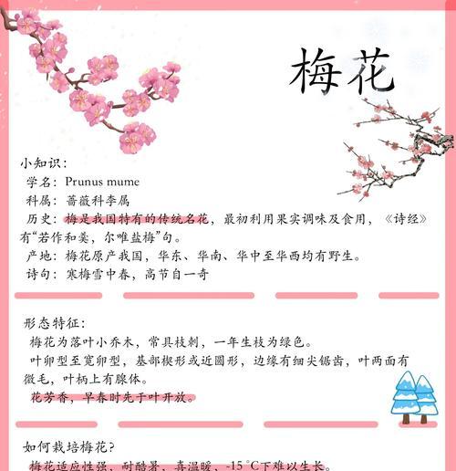 梅花保养的正确方法有哪些？