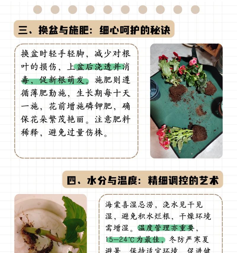 盆栽养护需要注意哪些问题？