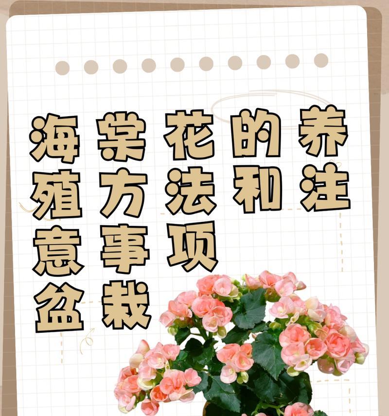 盆栽养护需要注意哪些问题？