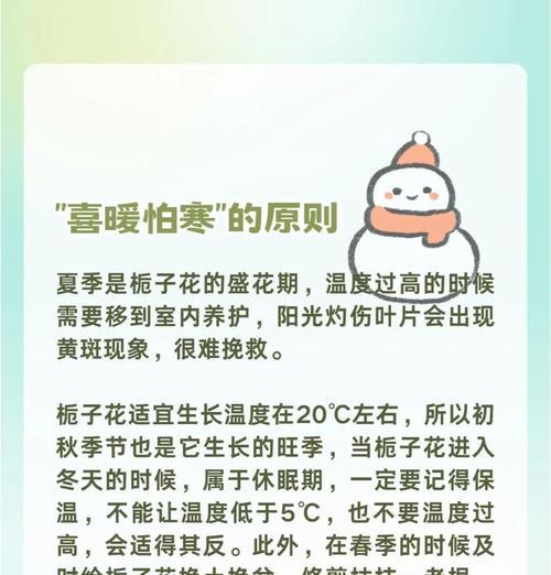 桅孑花的正确养护方法有哪些？