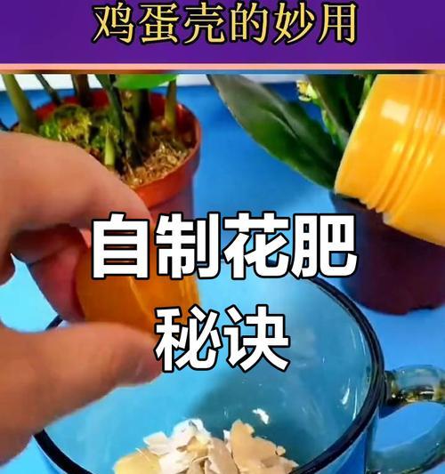 鸡蛋壳粉末养什么花好？适合使用鸡蛋壳粉末的花卉有哪些？