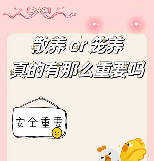 鸡蛋可以养吗？养鸡蛋需要注意什么？