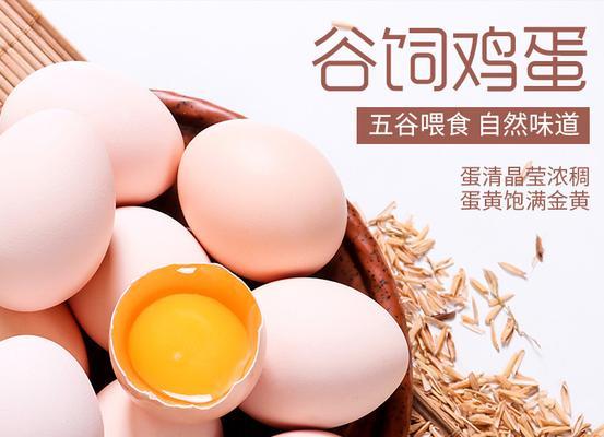 鸡蛋可以养吗？养鸡蛋需要注意什么？