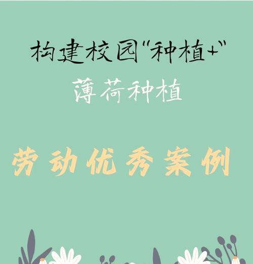 美国薄荷种植技巧有哪些？需要注意什么？
