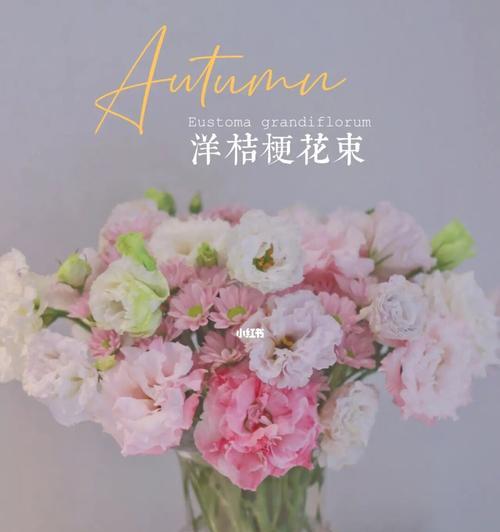 粉皇后的养殖技巧是什么？