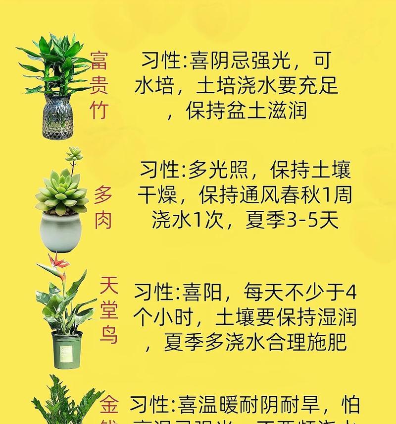 室内养花有哪些禁忌？