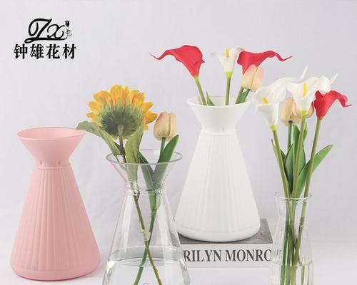 椭圆形透明花瓶的养花技巧是什么？如何在花瓶中保持植物的活力？