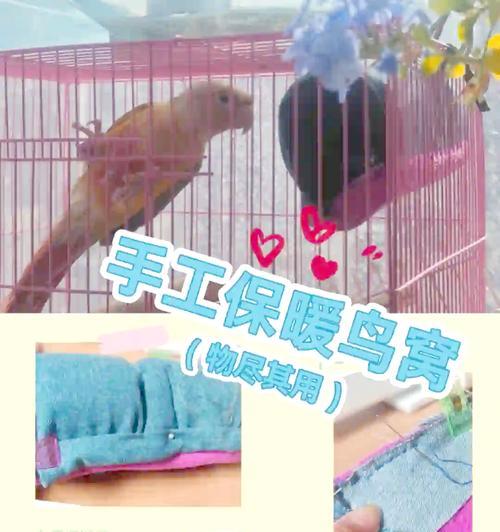 用鸟窝做插花简单吗？步骤是什么？