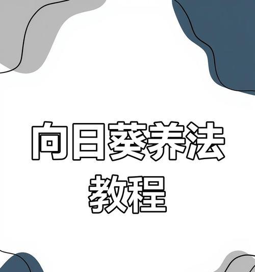 向日葵的正确养殖方法是什么？